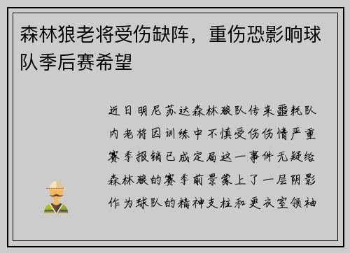 森林狼老将受伤缺阵，重伤恐影响球队季后赛希望