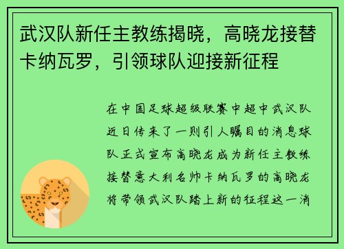 武汉队新任主教练揭晓，高晓龙接替卡纳瓦罗，引领球队迎接新征程